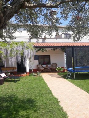 Casa Ani